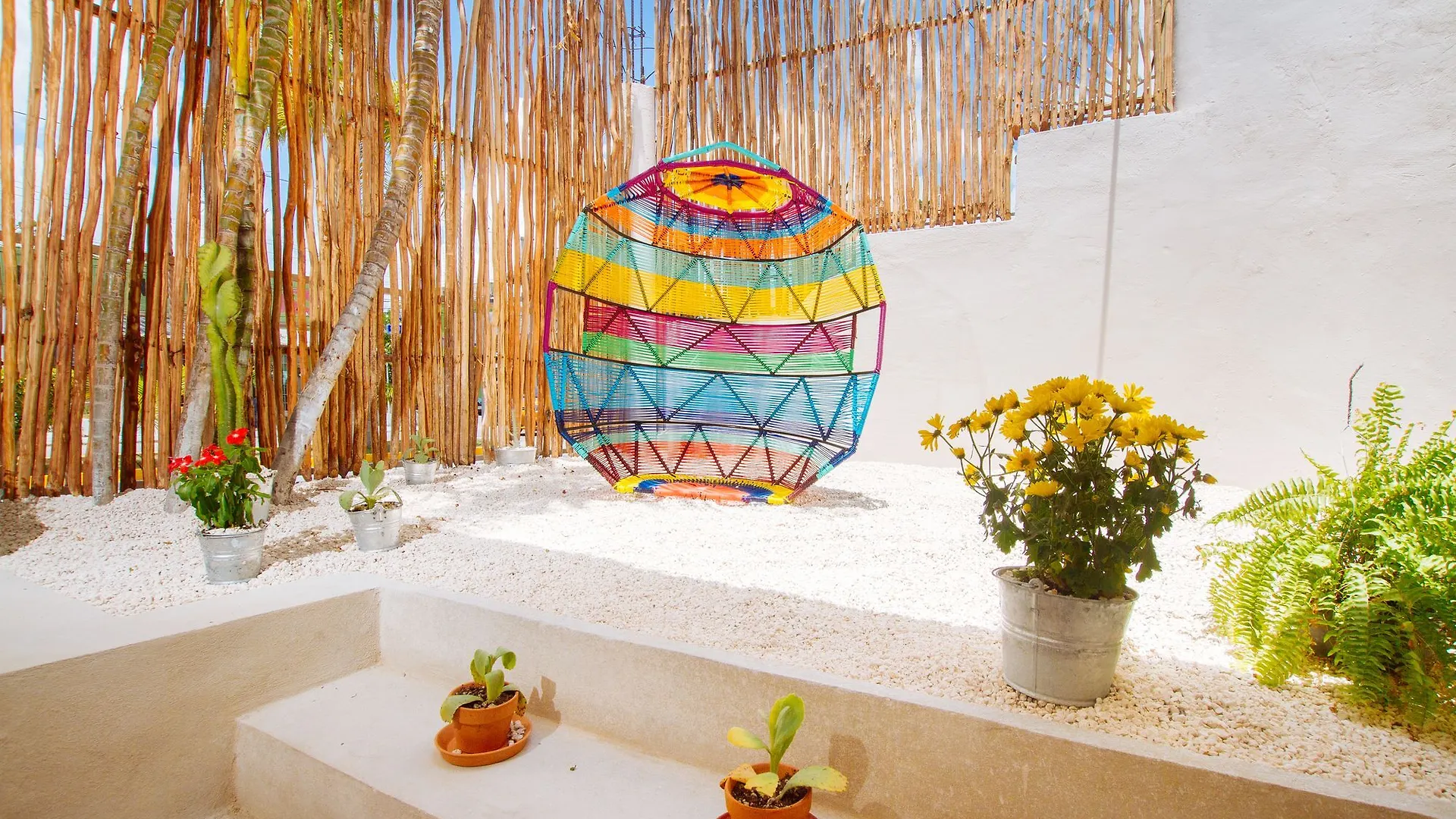 Hostels On The Road Playa del Carmen Mexico